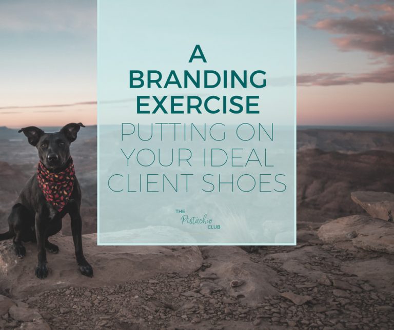 Branding Exercise Putting on your ideal client shoes