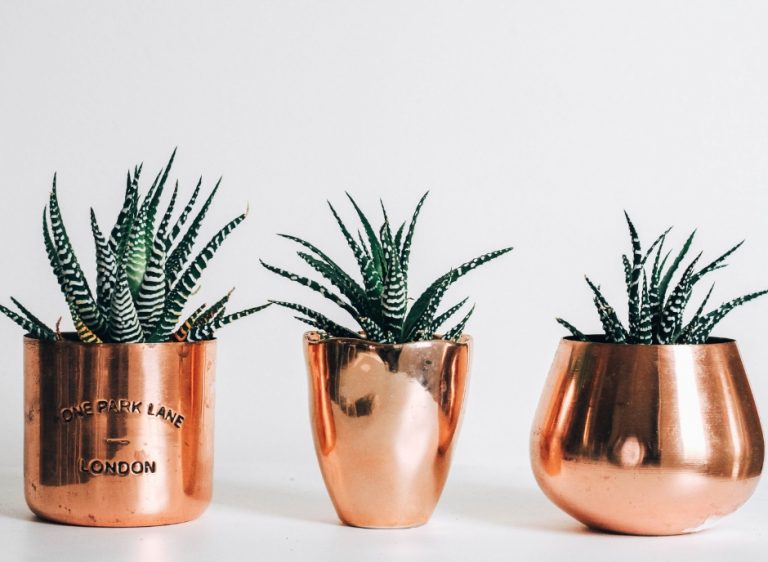 Website Design Dorset UK USA Logic then visuals